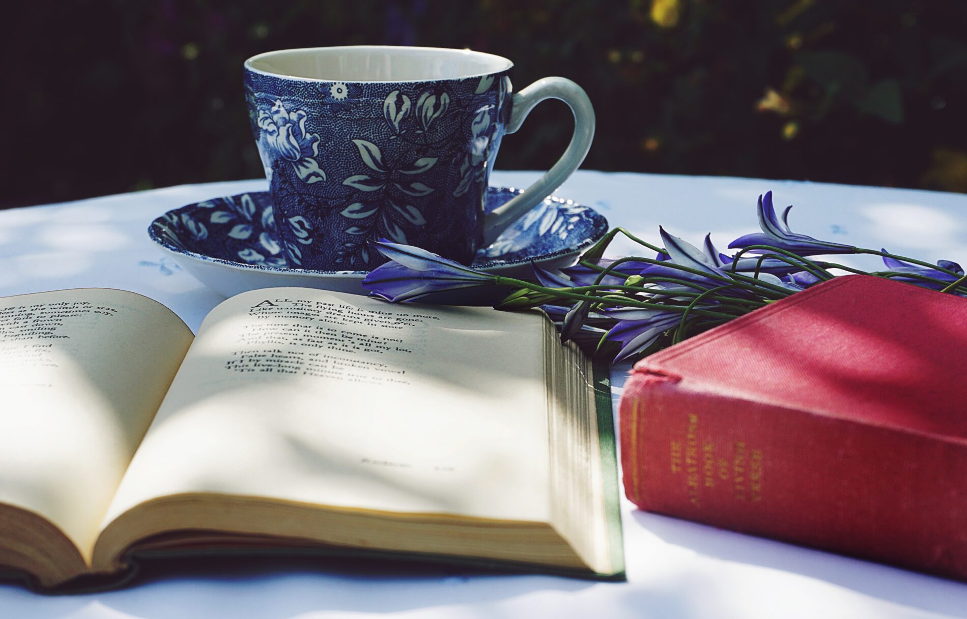 Open book in front of tea cup