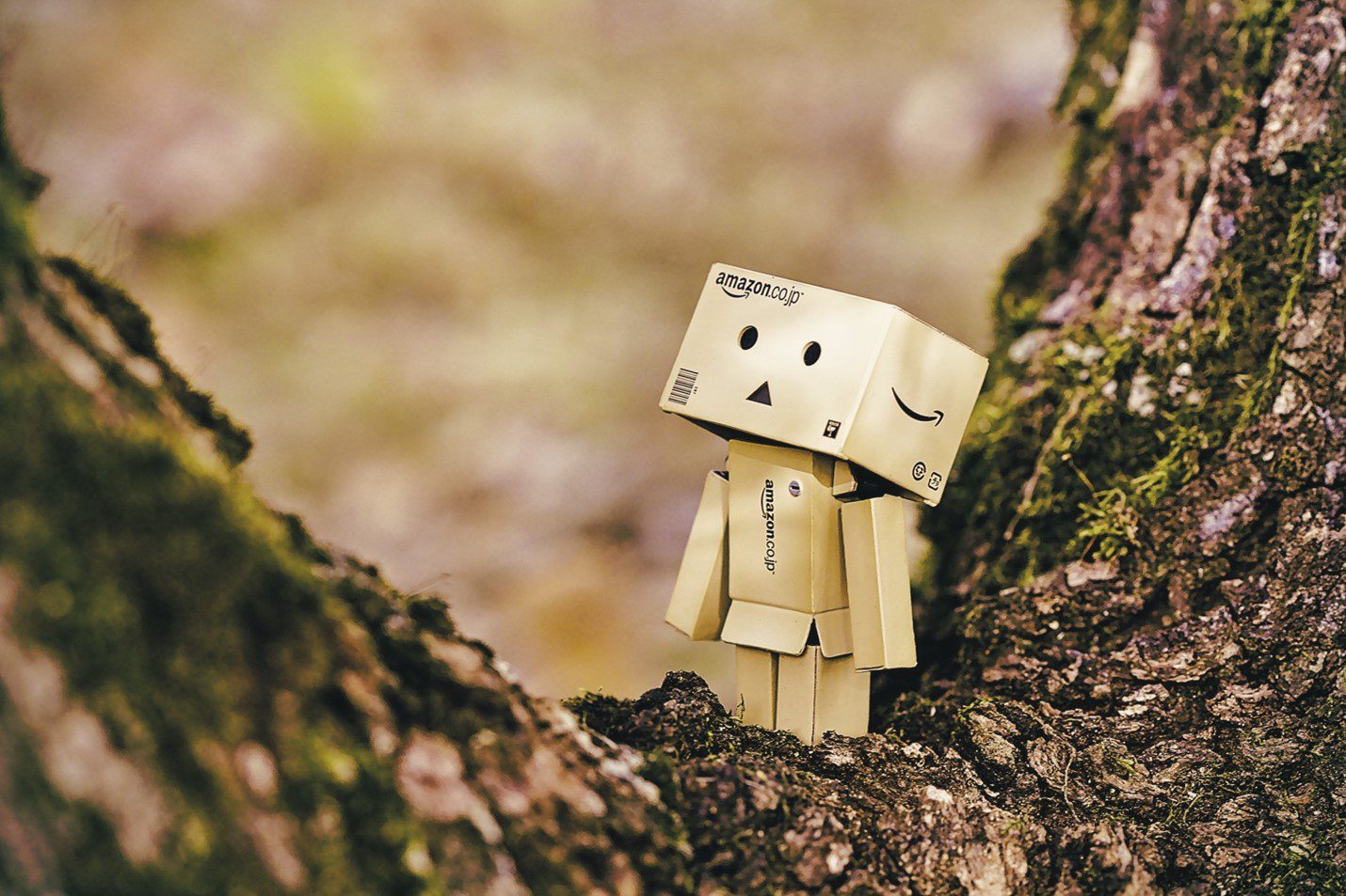 Statute of boxes standing on a tree